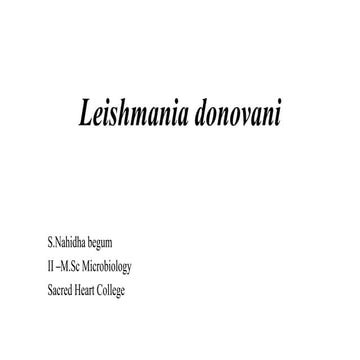 Leishmania donovani, Unveiling the Intricacies of a Parasite Responsible for ...