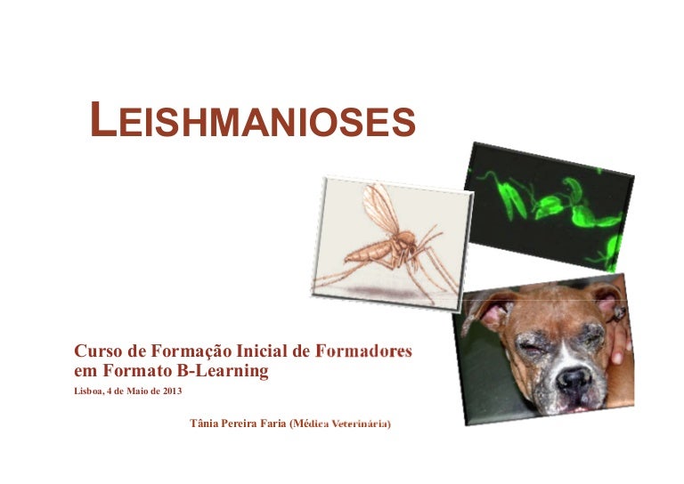 Leishmania infantum