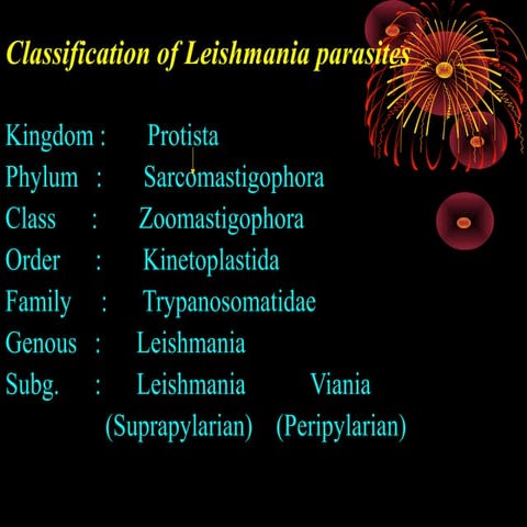 Leishmania parasites