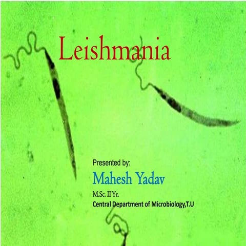 Leishmania presented by Mahesh