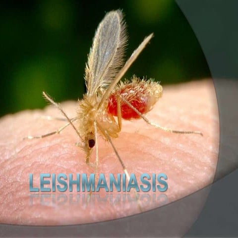 Leishmaniasis