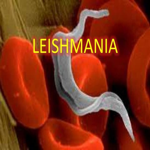 Leishmaniasis