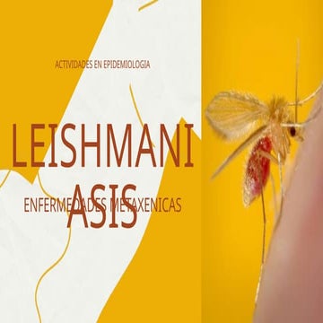 LEISHMANIASIS EPIDEMIOLOGIA  (1).pKHDGFptx