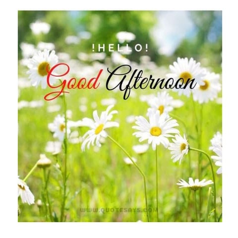 vector borne disease ..leishmaniasis ppt