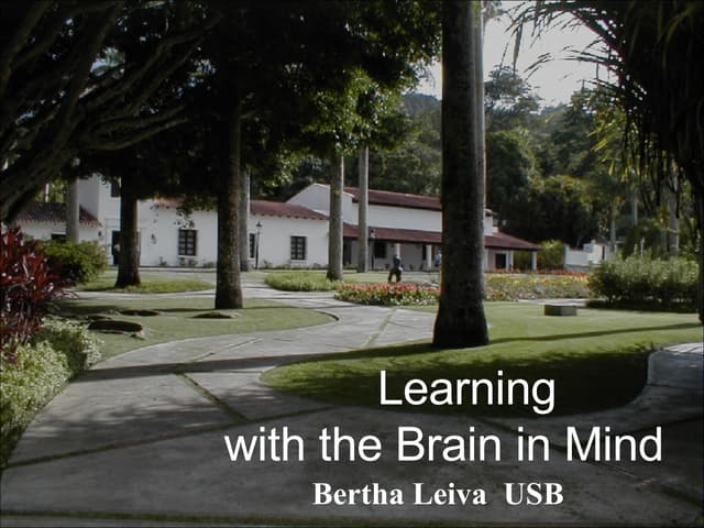 Leiva Brain Presentation Studentversion