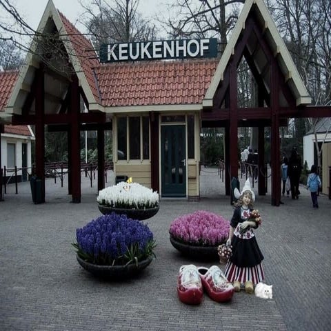Le keukenhof  