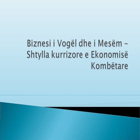 Leksion 1 sbv shtylla kurrizore e ekonomise
