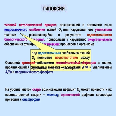 Лекция 11, Гипоксия | PPT