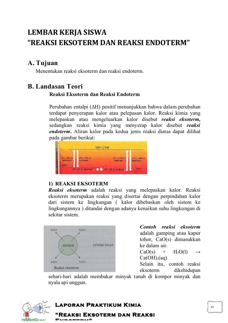 Reaksi Eksoterm Dan Reaksi Endoterm Laporan Praktikum