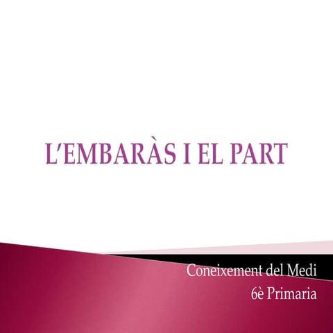 L’embaràs i el part