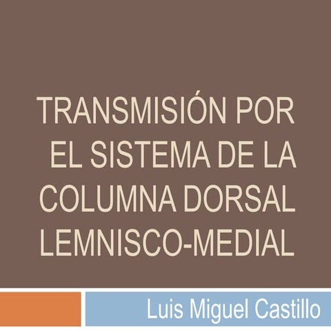 Lemnisco medial