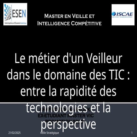 Le métier d'un Veilleur dans le domaine des TIC entre la rapidité des ...