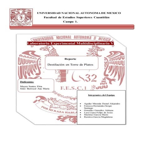 Lem v   reporte torre de platos