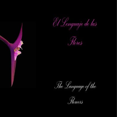 Lenguaje de las flores