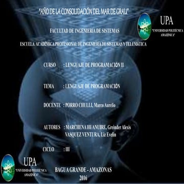 Lenguaje de Programación