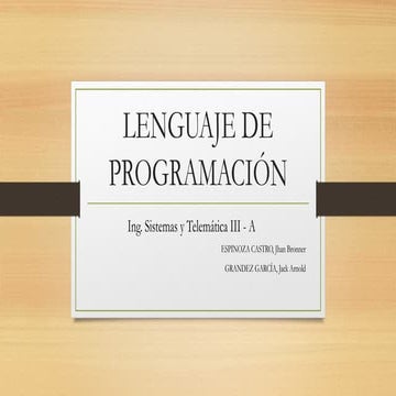 Lenguaje de programación