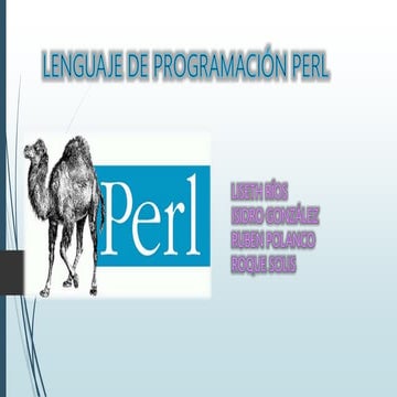 Programación en Perl