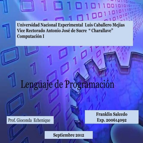 Lenguaje de programacion