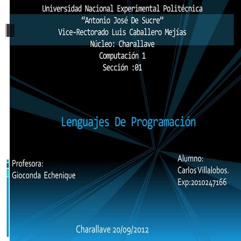 Lenguaje de programacion