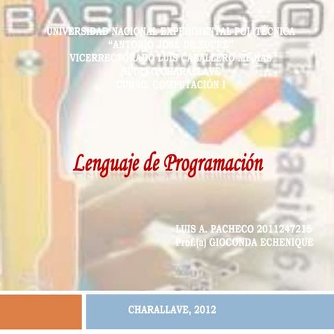 Lenguaje de programacion