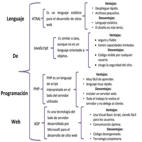 Lenguaje de programacion