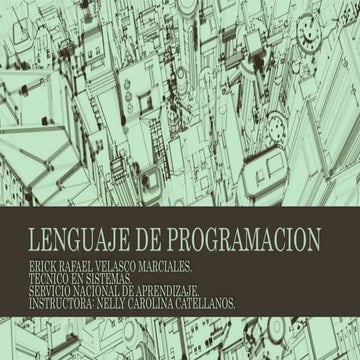 Lenguaje de programacion