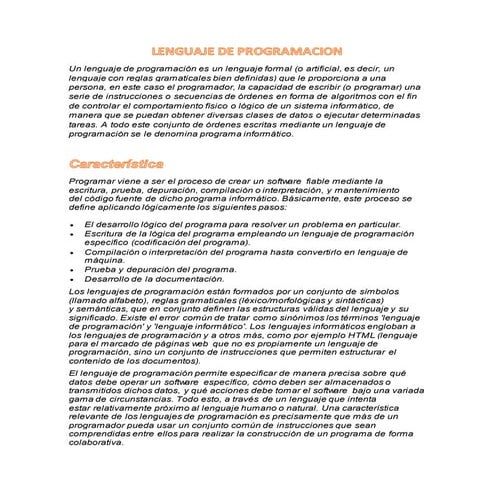 Lenguaje de programacion
