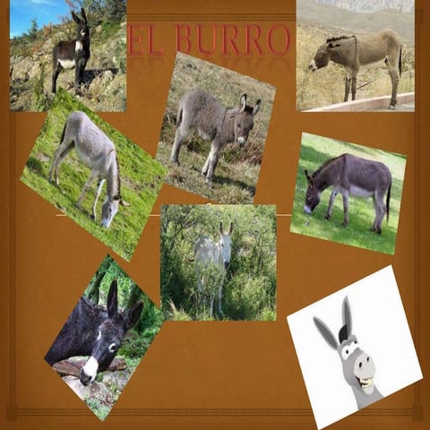 Lenguaje julian y martin