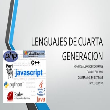 Lenguajes de cuarta generacion