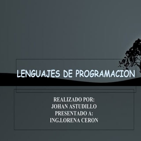 Lenguajes de programacion