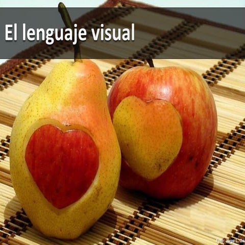 Lenguaje visual