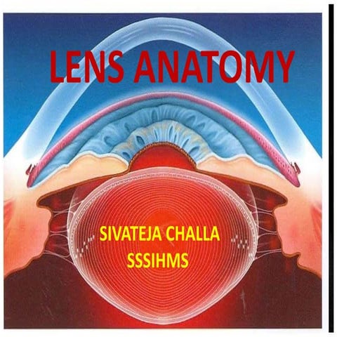 HUMAN Lens ANATOMY
