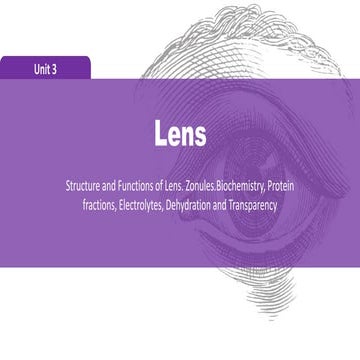 The Lens