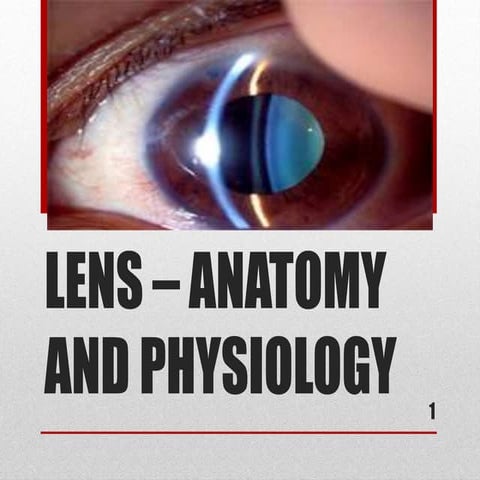 Lens – anatomy and physiology