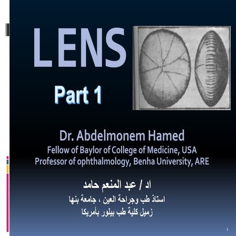 Lens for undergraduate final 11 2017 part 1 a - gif image for slide share