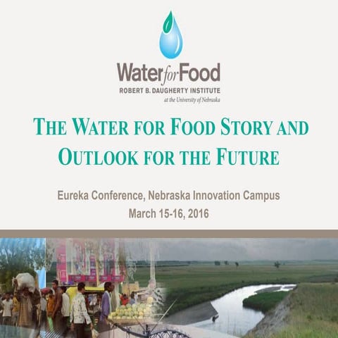 The Water for Food Story and Outlook for the Future