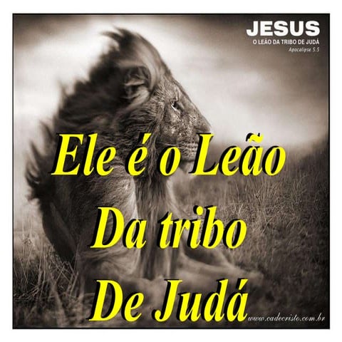 Leão da tribo de judá(i)