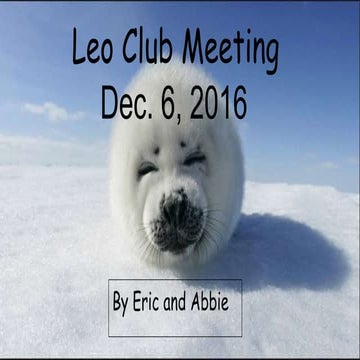 Leo meeting Dec6, 2016