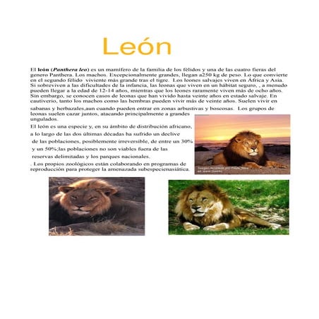 Leon | PDF