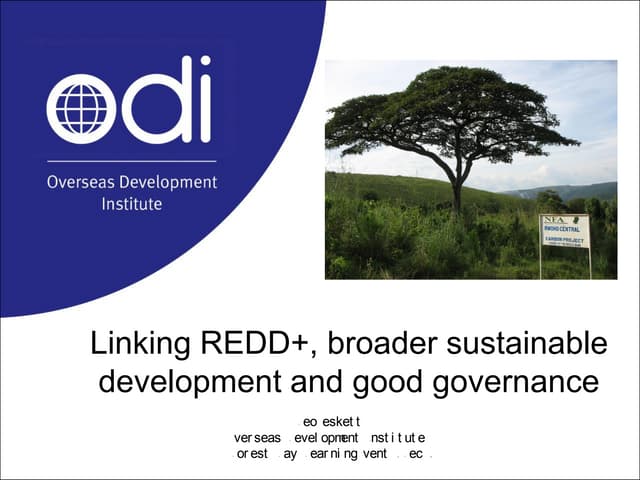 Linking REDD+, broader sustainable development and good governance