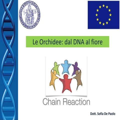 LE ORCHIDEE: DAL DNA AL FIORE