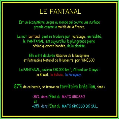 Le pantanal...