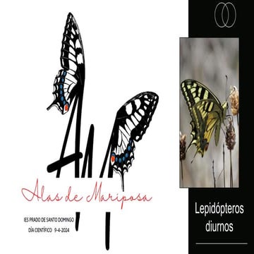 Lepidópteros 1_Alas de Mariposa (día científico)