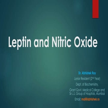 Leptin and Nitric Oxide