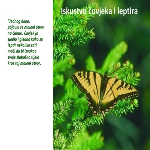 Iskustvo čovjeka i leptira 
