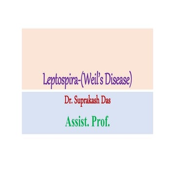 Leptospira weil's disease