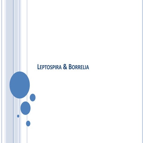 Leptospirosis and Borrelia infection.ppt