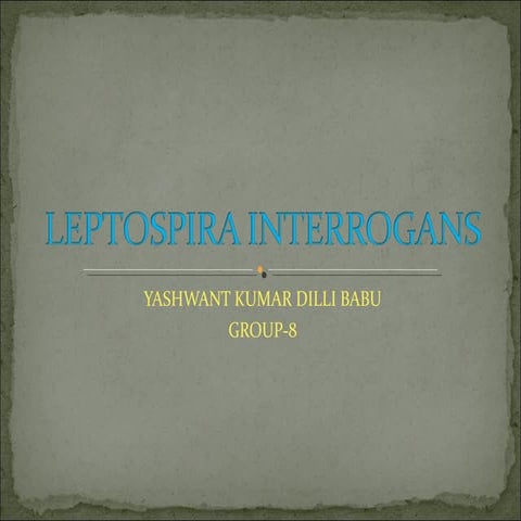 Leptospira interrogans