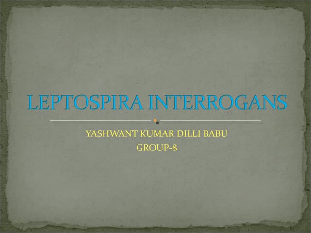 Leptospira interrogans