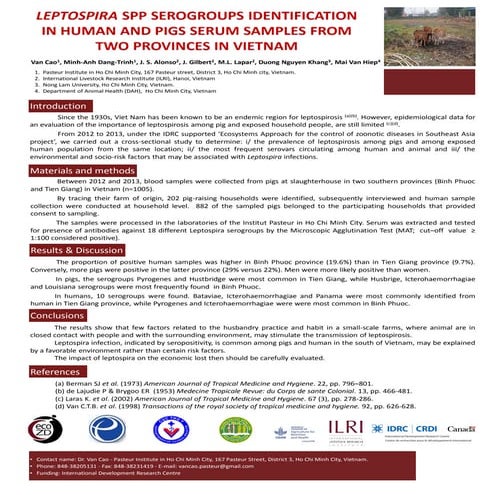 Leptospira spp. serogroups identification in human and pig serum samples from...